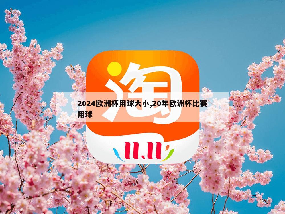 2024欧洲杯用球大小,20年欧洲杯比赛用球