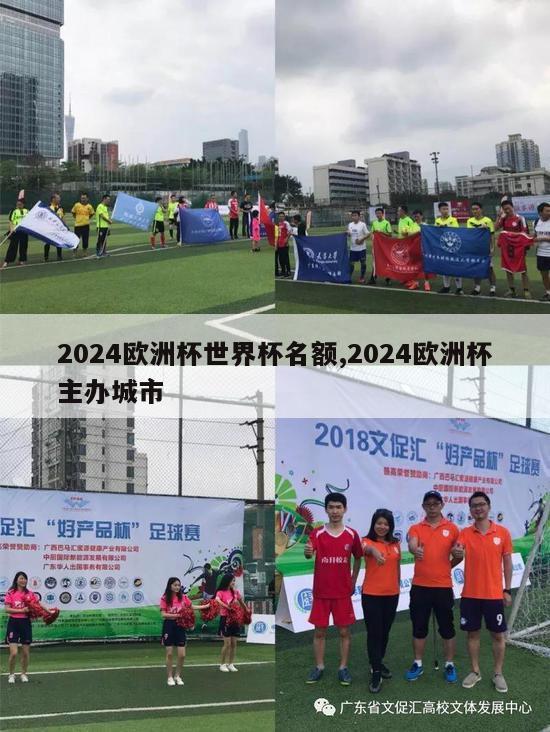 2024欧洲杯世界杯名额,2024欧洲杯主办城市