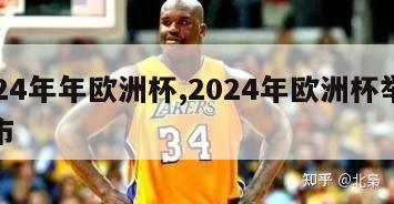 2024年年欧洲杯,2024年欧洲杯举办城市