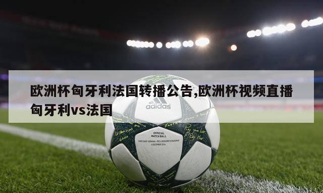 欧洲杯匈牙利法国转播公告,欧洲杯视频直播匈牙利vs法国