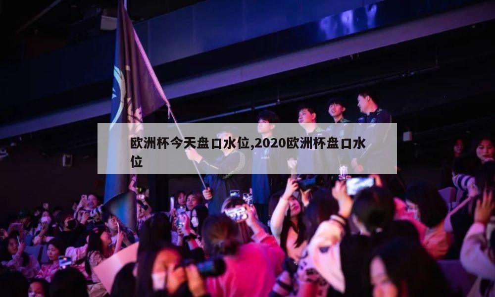 欧洲杯今天盘口水位,2020欧洲杯盘口水位