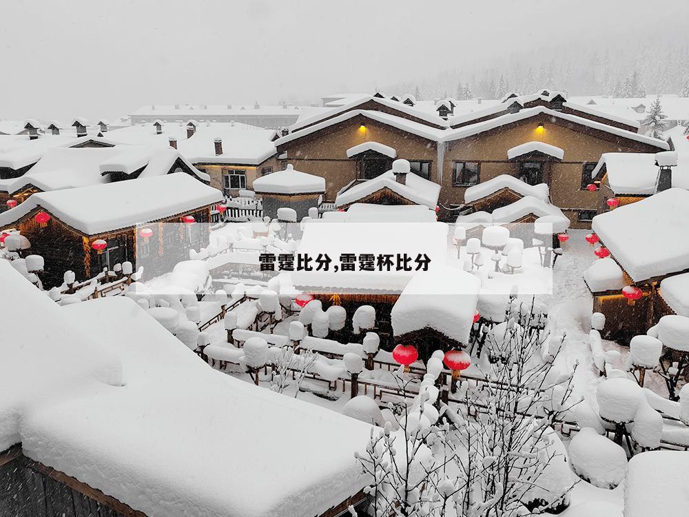 雷霆比分,雷霆杯比分