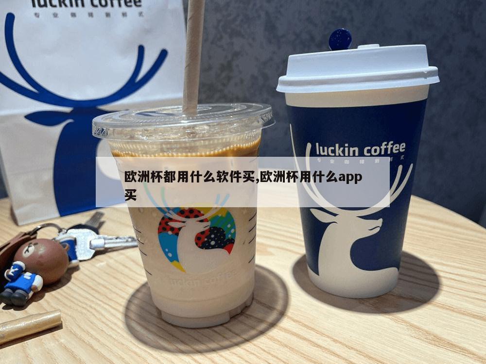 欧洲杯都用什么软件买,欧洲杯用什么app买