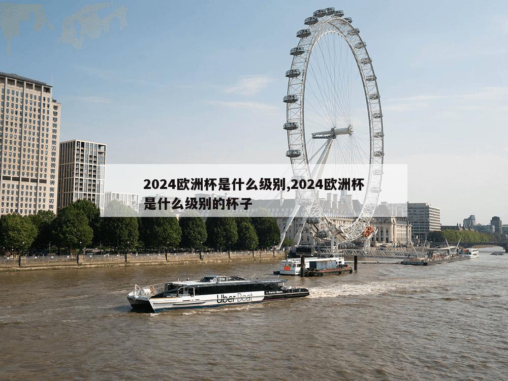 2024欧洲杯是什么级别,2024欧洲杯是什么级别的杯子