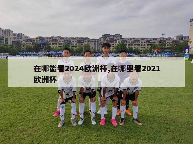 在哪能看2024欧洲杯,在哪里看2021欧洲杯