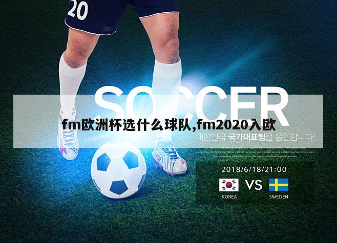 fm欧洲杯选什么球队,fm2020入欧