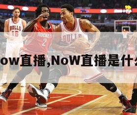 now直播,NoW直播是什么