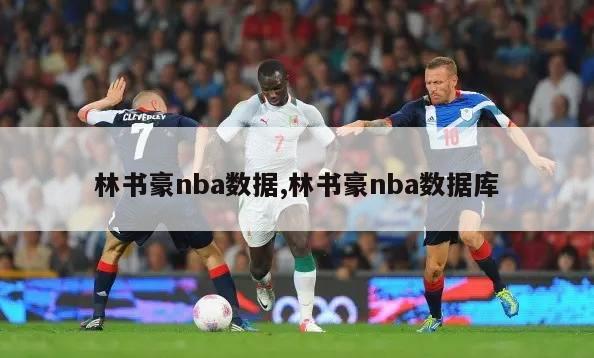 林书豪nba数据,林书豪nba数据库