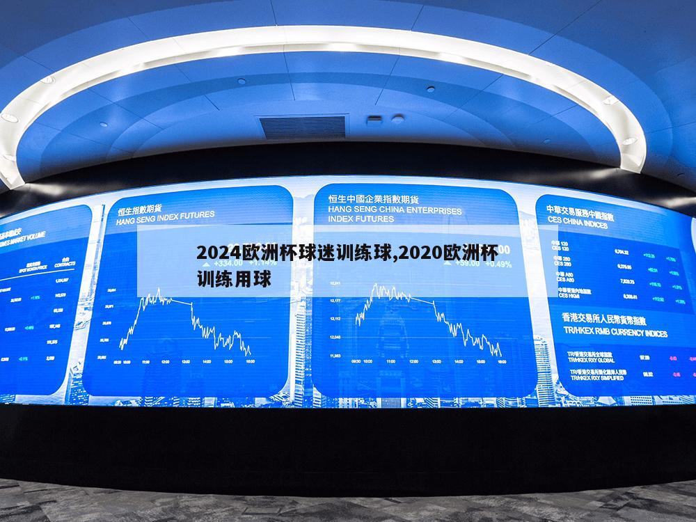 2024欧洲杯球迷训练球,2020欧洲杯训练用球